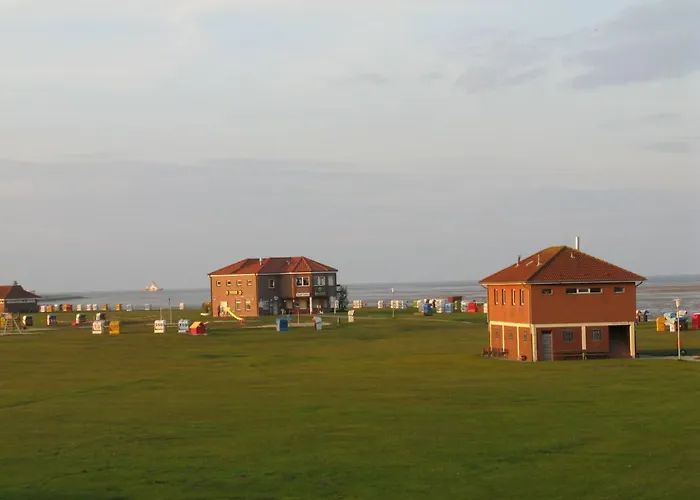 Hannemann-1 By Interhome * 西里格